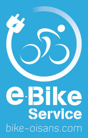 e bike service