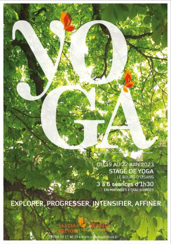 Stage de yoga « Explorer, Progresser, Intensifier, Affiner »