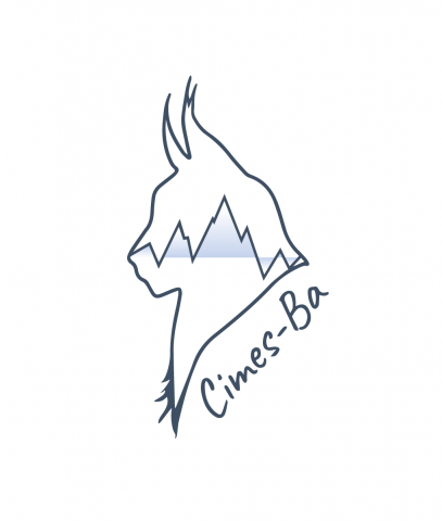 Logo Cime-BA