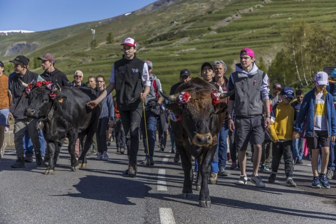 montée des vaches-Villar d’Arène