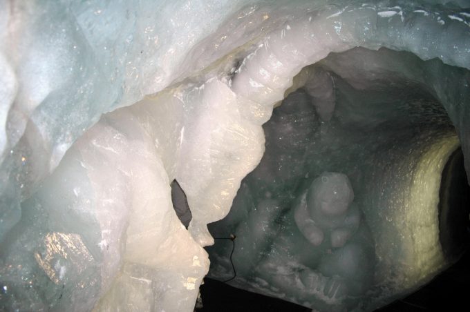 Bouquetin Grotte de glace La Grave