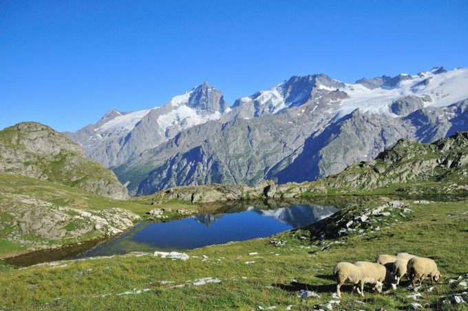 Alpages Plateau d’Emparis